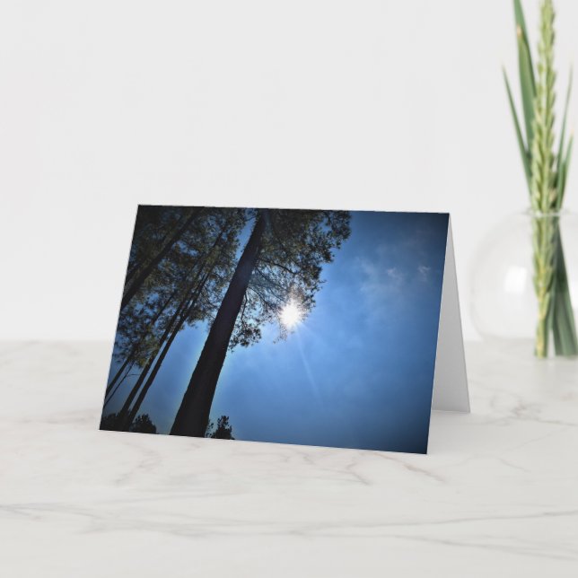 Solljus genom Gräs Träd, kort (Framsida)