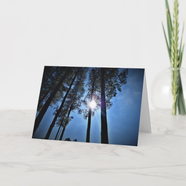 Solljus genom Gräs Träd, kort (Framsida)