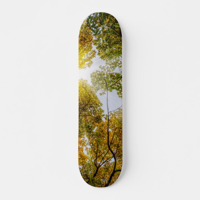 Solljus genom höstsockeräpplen mini skateboard bräda 18,5 cm (Framsida)
