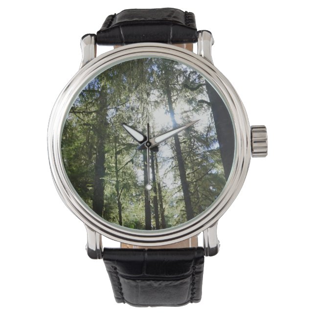 Solljus genom tallar armbandsur (Framsida)