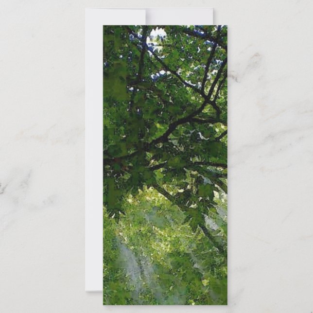 Solljus genom Träd (Framsida)