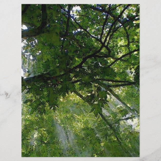 Solljus genom Träd Reklamblad (Framsidan)