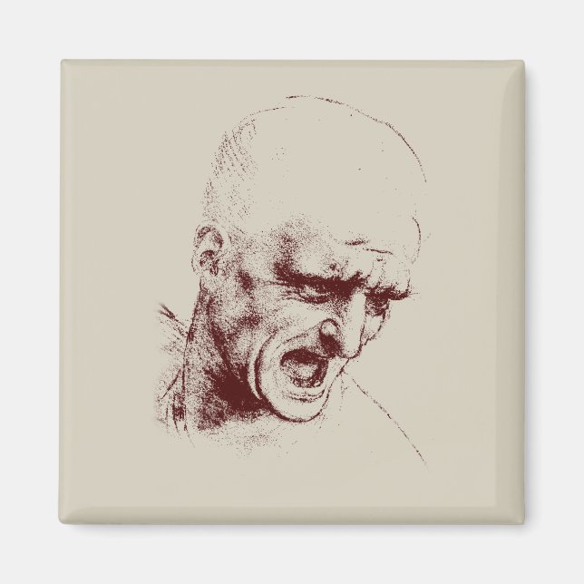 solljus magnet (Framsidan)