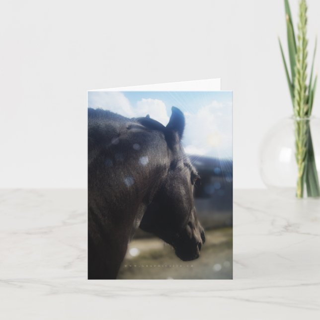 Solljus - Notecard Helgkort (Framsida)