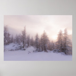 Solljus och granarskog poster