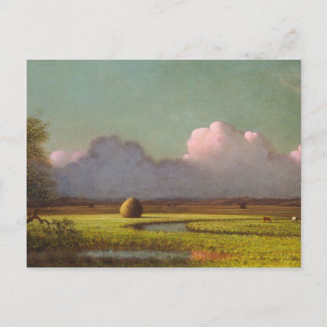 Solljus och skugga, Newbury Marshes Vykort (Framsida)