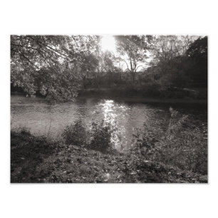 Solljus på Taff, Bute Park, Cardiff Fototryck