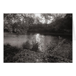 Solljus på Taff, Bute Park, Cardiff Hälsningskort