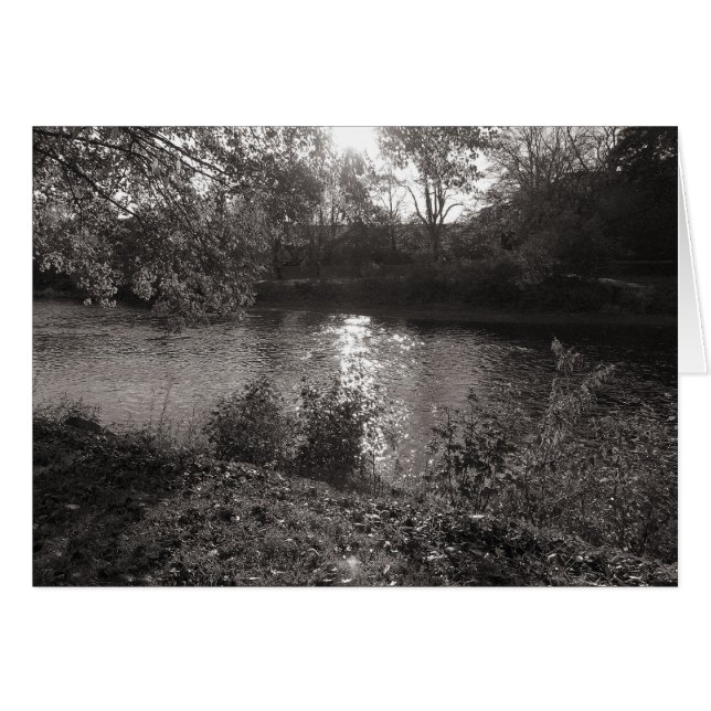Solljus på Taff, Bute Park, Cardiff Hälsningskort (Framsidan Horizontal)
