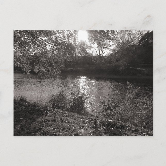 Solljus på Taff, Bute Park, Cardiff Vykort (Framsida)