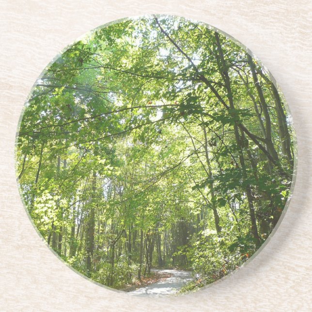 Solljus på träbelagd Väg vid Centennial Park Underlägg (Framsidan)