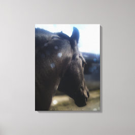 Solljus - Wrapped Canvas