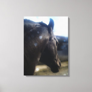 Solljus - Wrapped Canvas