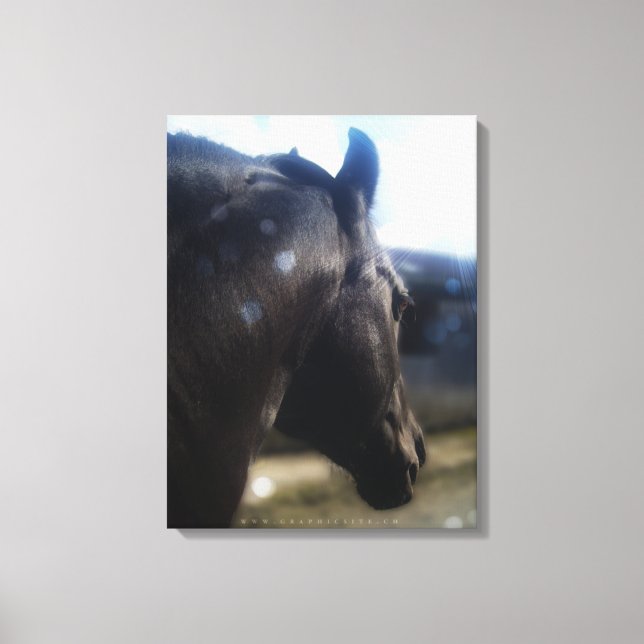 Solljus - Wrapped Canvas (Framsida)