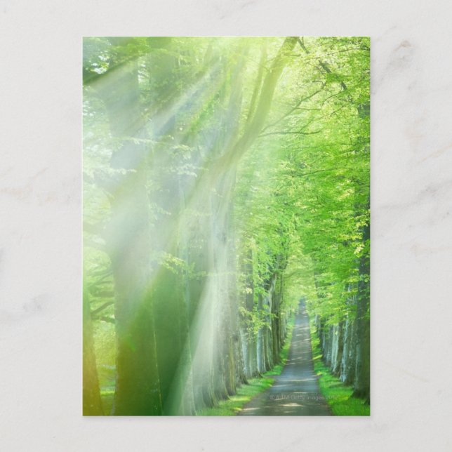 Solljusets schakt vykort (Framsida)