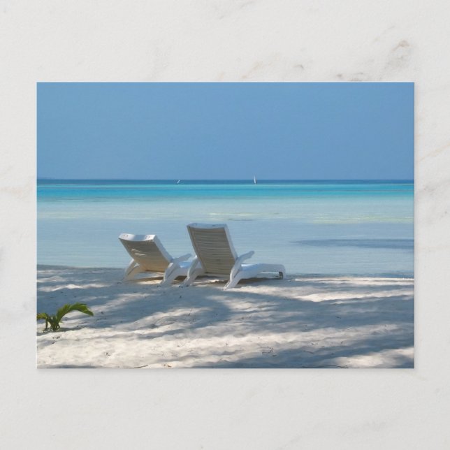 Solloungar Vykort (Framsida)