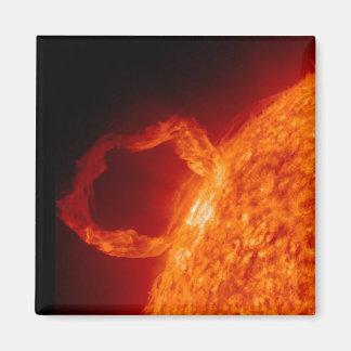 Solmjöl Magnet