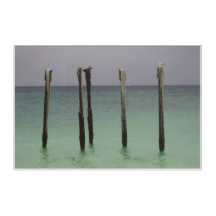 SOLMMJÖLK | m3galleyStudio