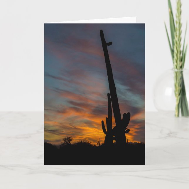 Solnedgång Arizona Vykort Saguaros Vänner (Framsida)