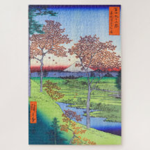 Solnedgång Backe Meguro i Östra Capital