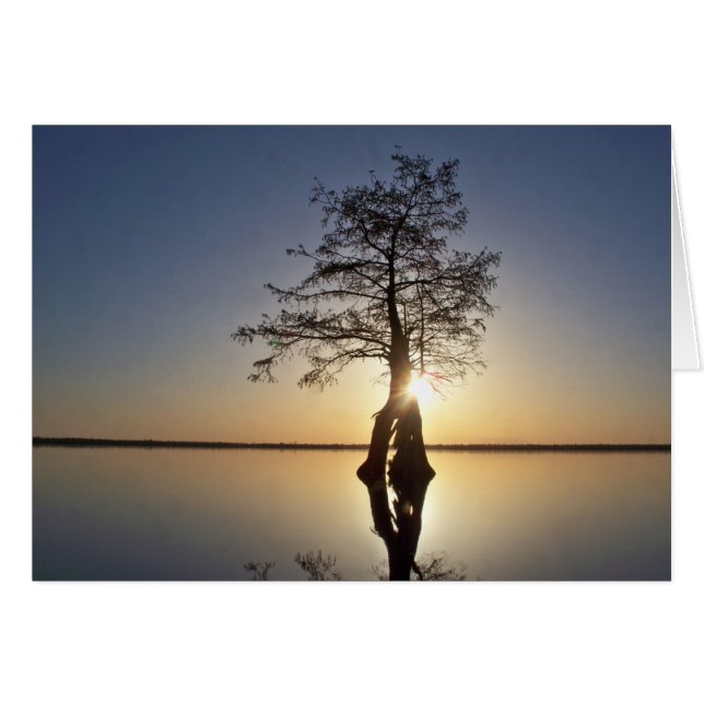 Solnedgång bakom Träd Hälsningskort (Framsidan Horizontal)