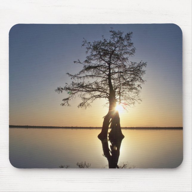 Solnedgång bakom Träd Musmatta (Framsidan)