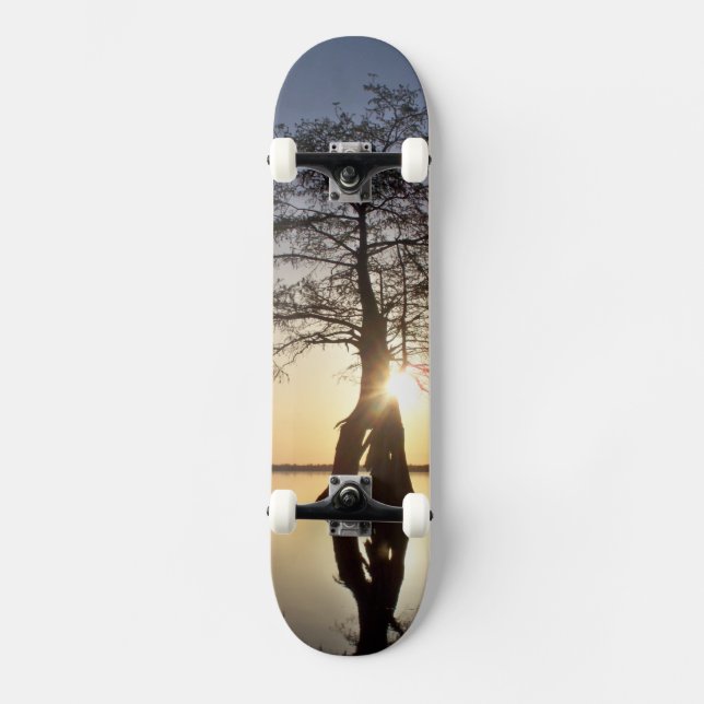 Solnedgång bakom Träd Skateboard Bräda 21,5 Cm (Framsida)