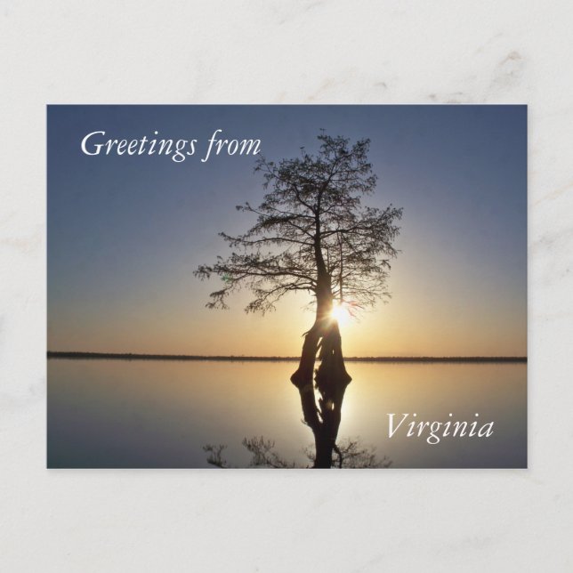 Solnedgång bakom Träd Vykort (Framsida)
