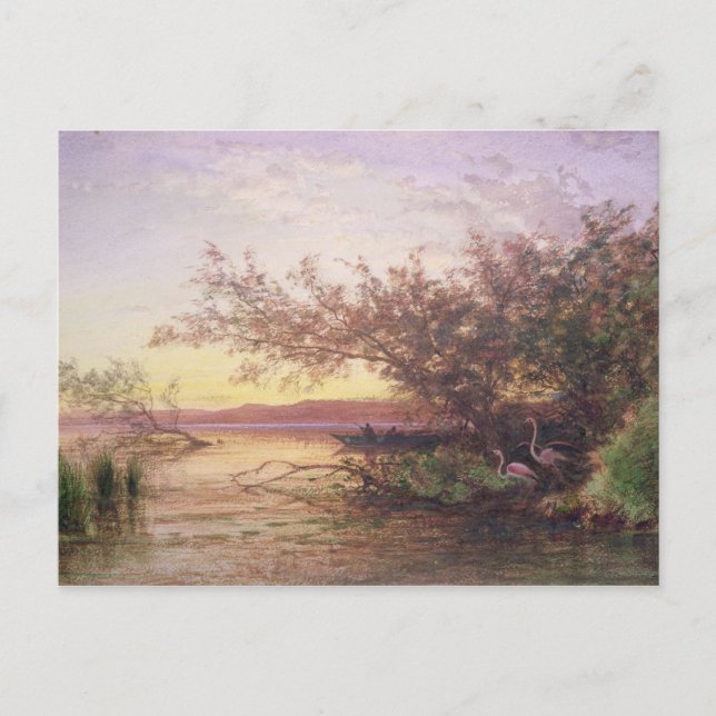 Solnedgång, Camargue Vykort (Framsida)