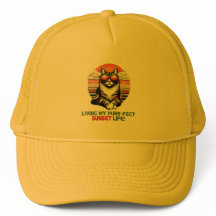 Solnedgång Coola Katt