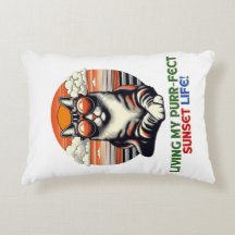 Solnedgång Coola Katt