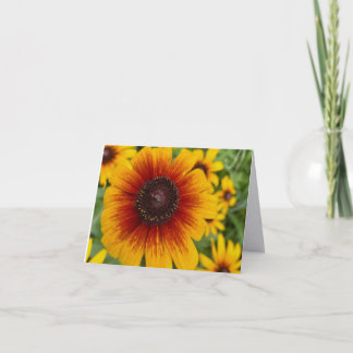 Solnedgång Daisy Fine Art Photography Falt Brevkor Tack Kort