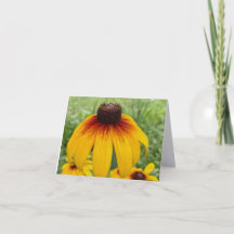 Solnedgång Daisy Finkonstfotografering Viket Notko