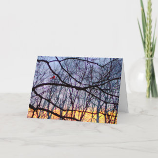 Solnedgång & ett tomt hälsningkort för röd kort