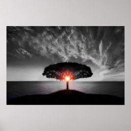 Solnedgång: Färg Stänk Poster