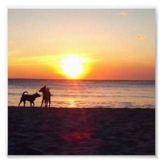 solnedgång fototryck