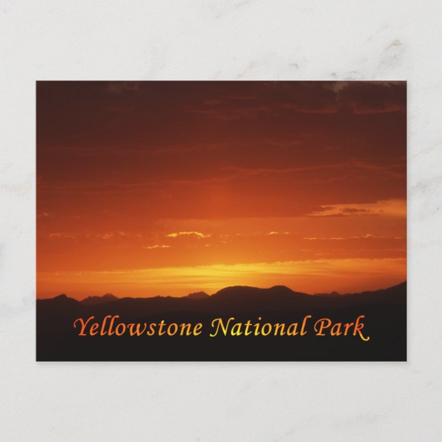 Solnedgång från Mt. Washburn-vykort Vykort (Framsida)