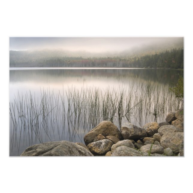 Solnedgång genom dimma över Upper Hadlock Pond Fototryck (Framsidan)