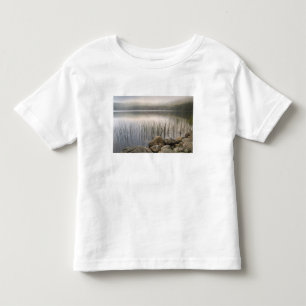 Solnedgång genom dimma över Upper Hadlock Pond T Shirt
