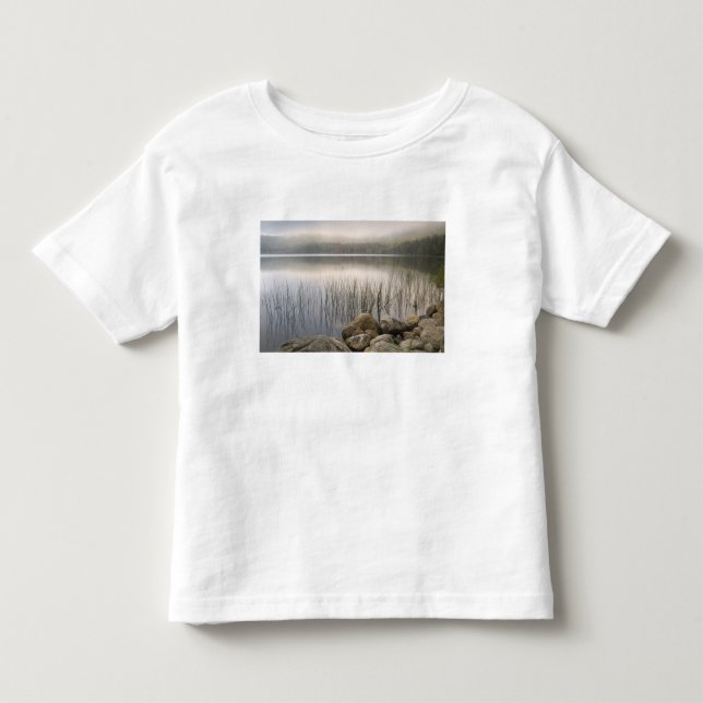 Solnedgång genom dimma över Upper Hadlock Pond T Shirt (Framsida)