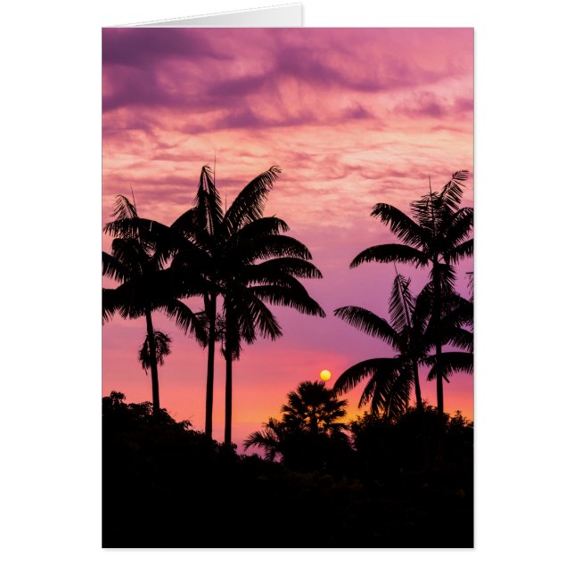 Solnedgång genom Handflatan Träd Hälsningskort (Framsidan)