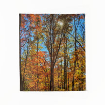 Solnedgång genom höstfällskog