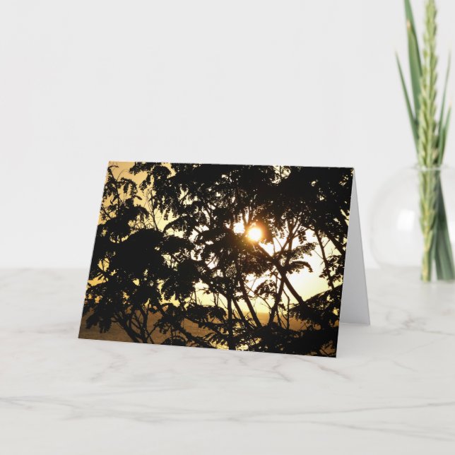 Solnedgång genom Träd I Tropiskt fotografi Kort (Framsida)