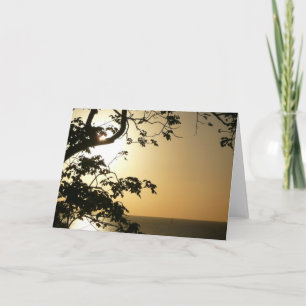 Solnedgång genom Träd II Tropiskt fotografi Kort