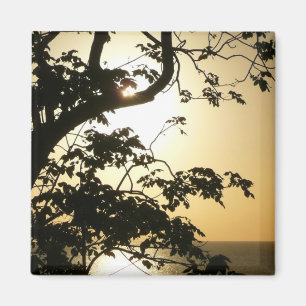 Solnedgång genom Träd II Tropiskt fotografi Magnet