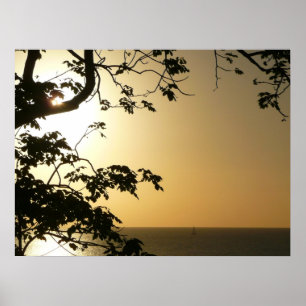 Solnedgång genom Träd II Tropiskt fotografi Poster