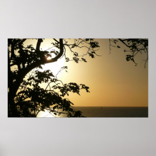 Solnedgång genom Träd II Tropiskt fotografi Poster
