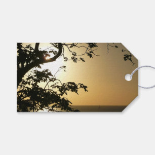 Solnedgång genom Träd II Tropiskt fotografi Presentetikett