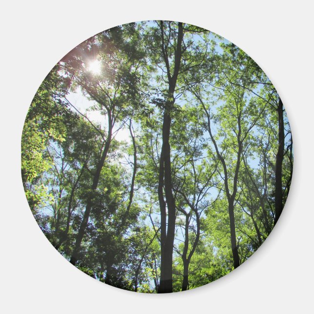 Solnedgång genom Träd Photo Magnet (Framsidan)