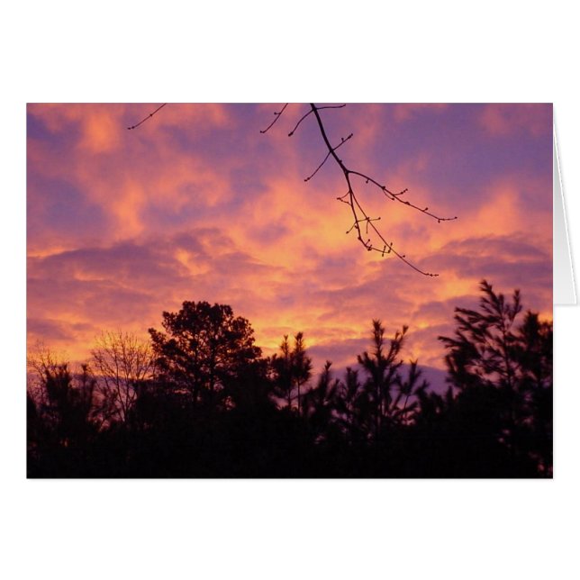 Solnedgång Hälsningskort (Framsidan Horizontal)